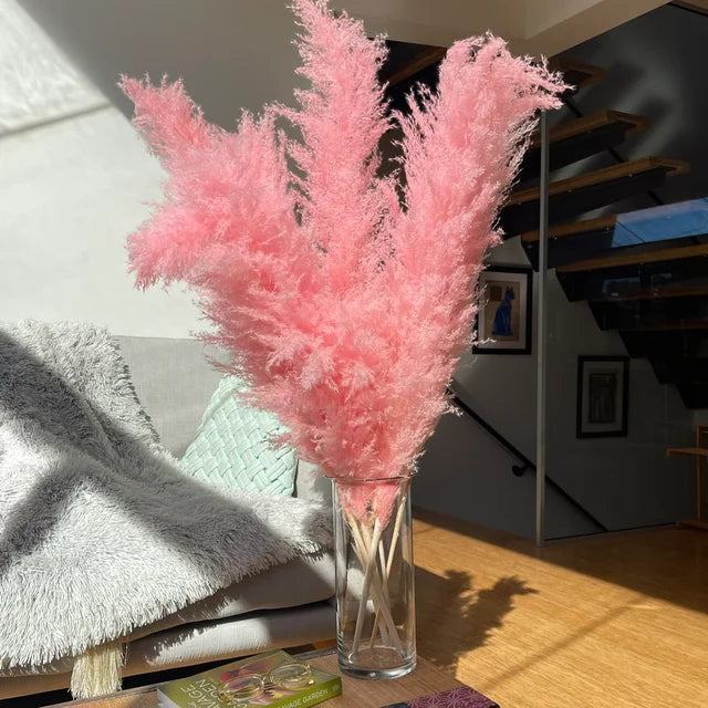 Boho Aurea Eng Dried Pampas Græs til Hjemmedekor | Petprovac