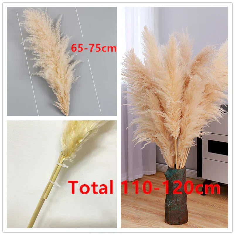 Aurea Meadow Boho Pampas Tørret Græs Hjem Dekor Accent