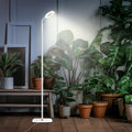 Mistyjungle Vækstlys Til Indendørsplanter, Gulv Fuldspektrum Plante Lys Med Stativ, Store Vækstlamper Med Automatisk Timer, 60 Tommer Højdejusterbar, 10 Niveaus Dæmpbar, Hvid Halo Led Vækstlampe