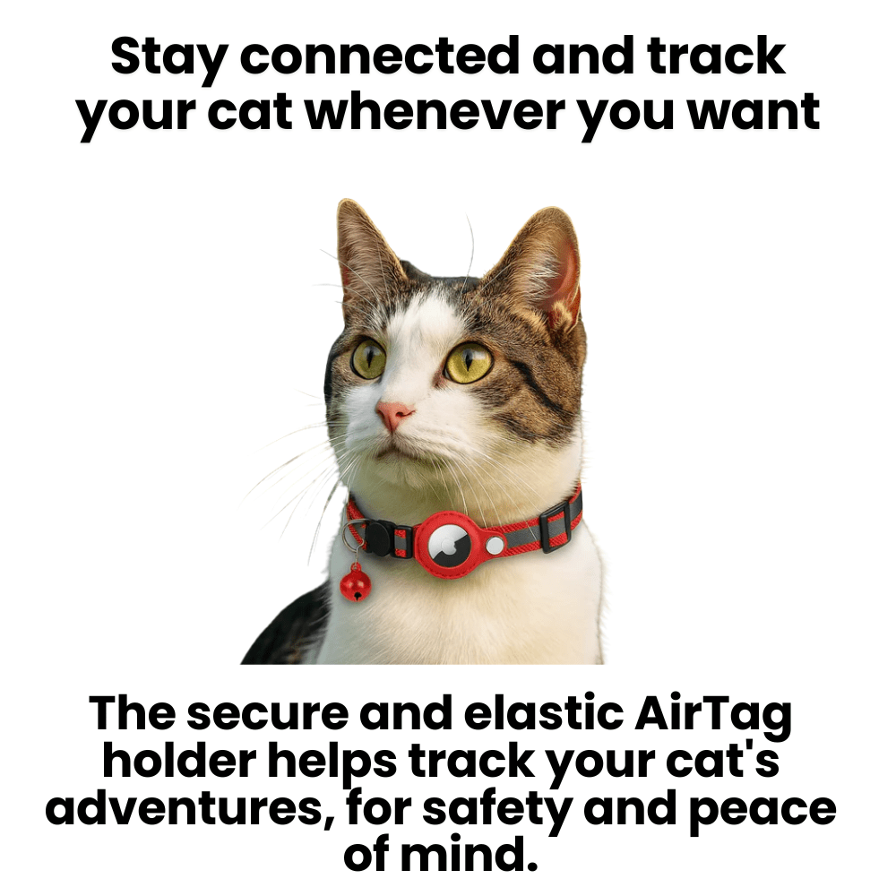 GPS Halsbånd til Katte med Reflekterende Design