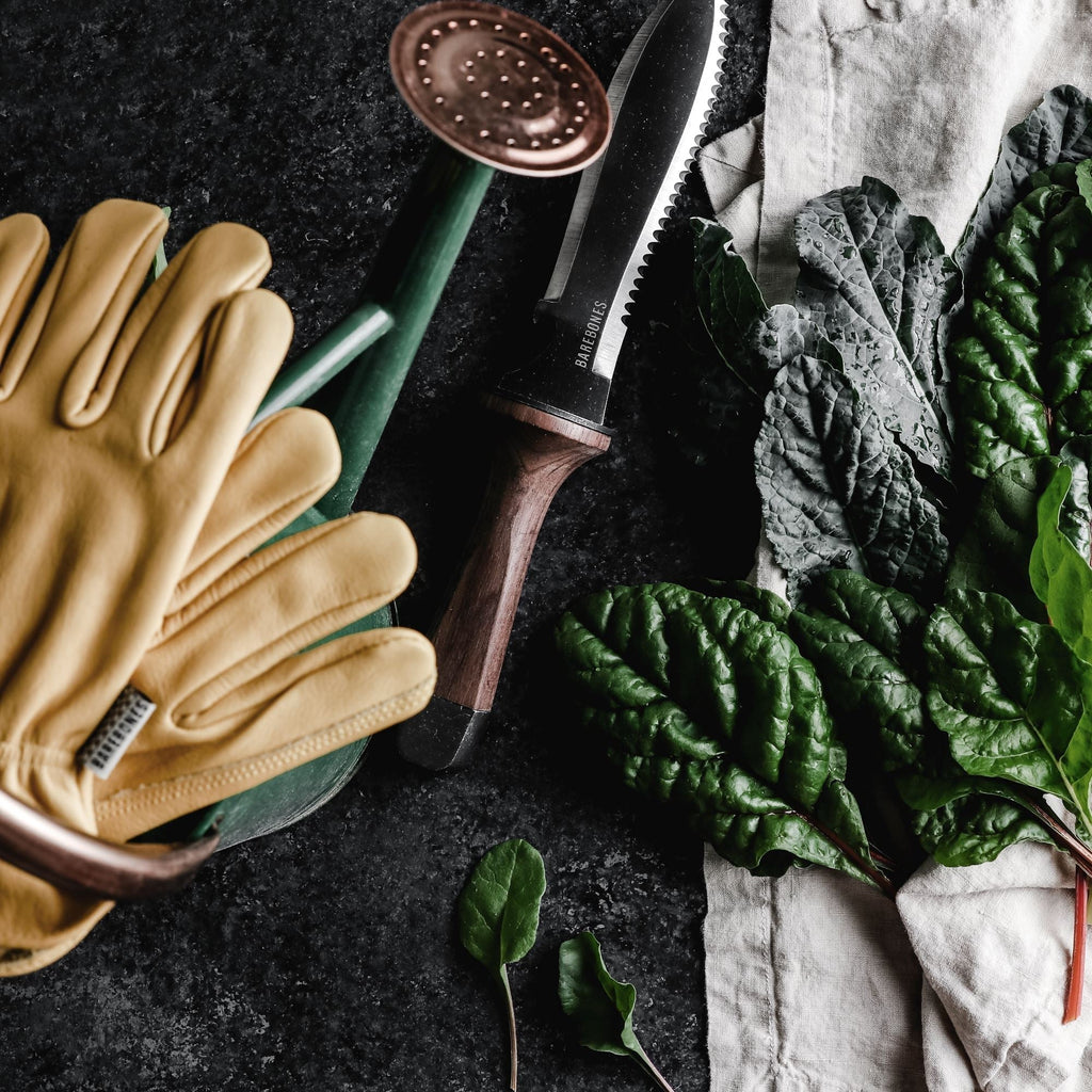 TrailForge Pro Grip Udendørs Overlevelseskniv Med Ergonomisk Håndtag Og Holdbar Klinge | Petprovac
