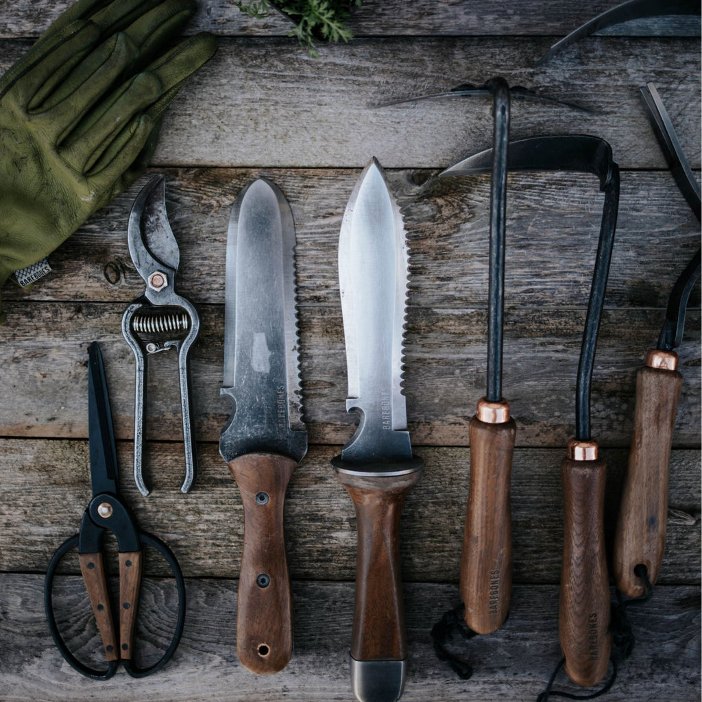 TrailForge Pro Grip Udendørs Overlevelseskniv Med Ergonomisk Håndtag Og Holdbar Klinge | Petprovac