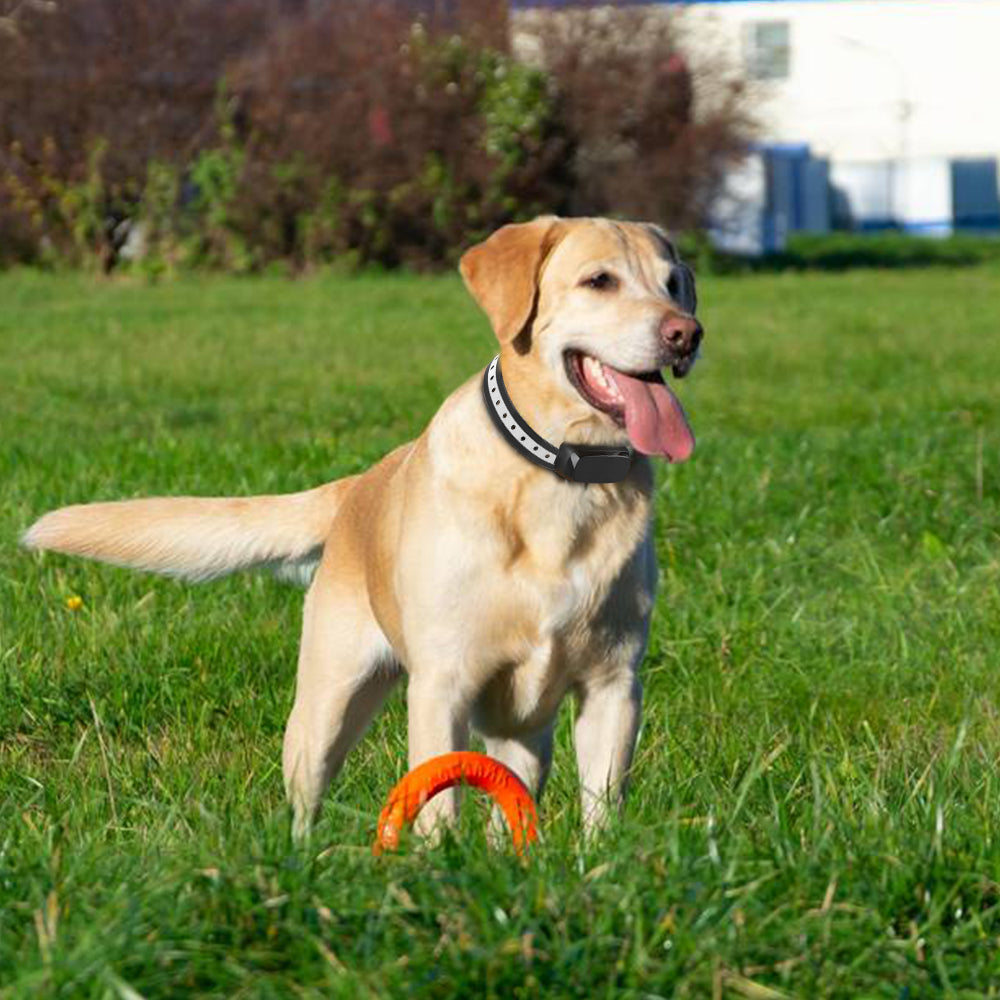 AeroPaw Pro Trådløst Hundegitter System til Sikre Have | Petprovac