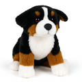 Ianthe - Bernese Mountain Dog Plysdyr