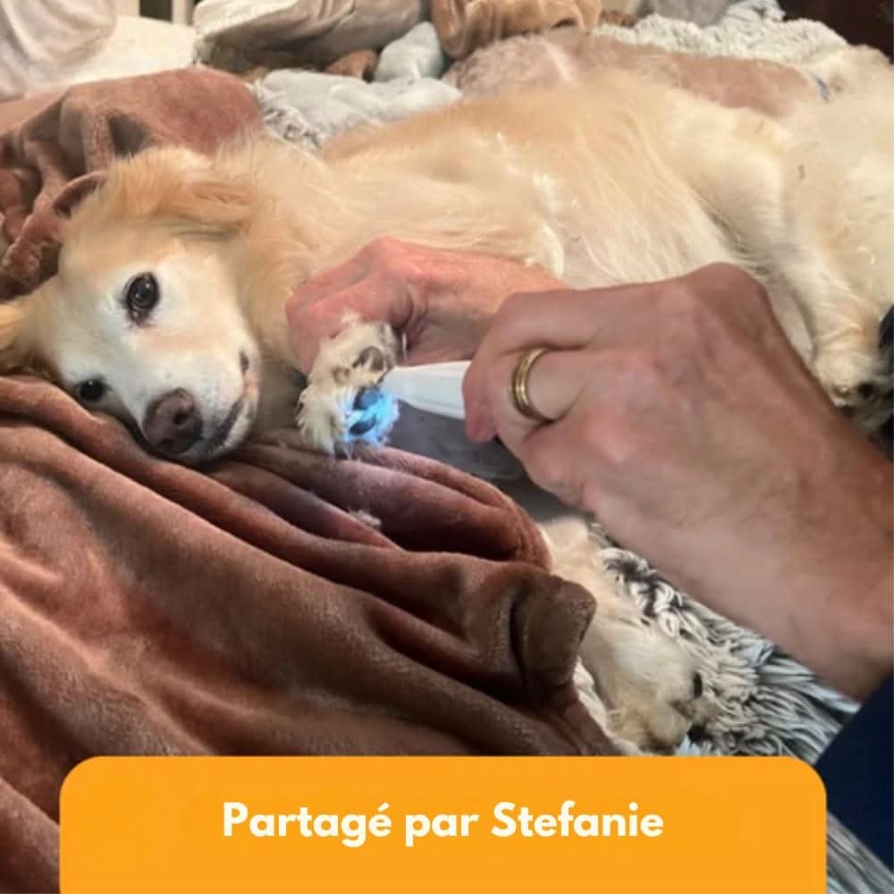 SilentPet Trimmer – Stille pels trimmer til sensitive områder på hunde & katte