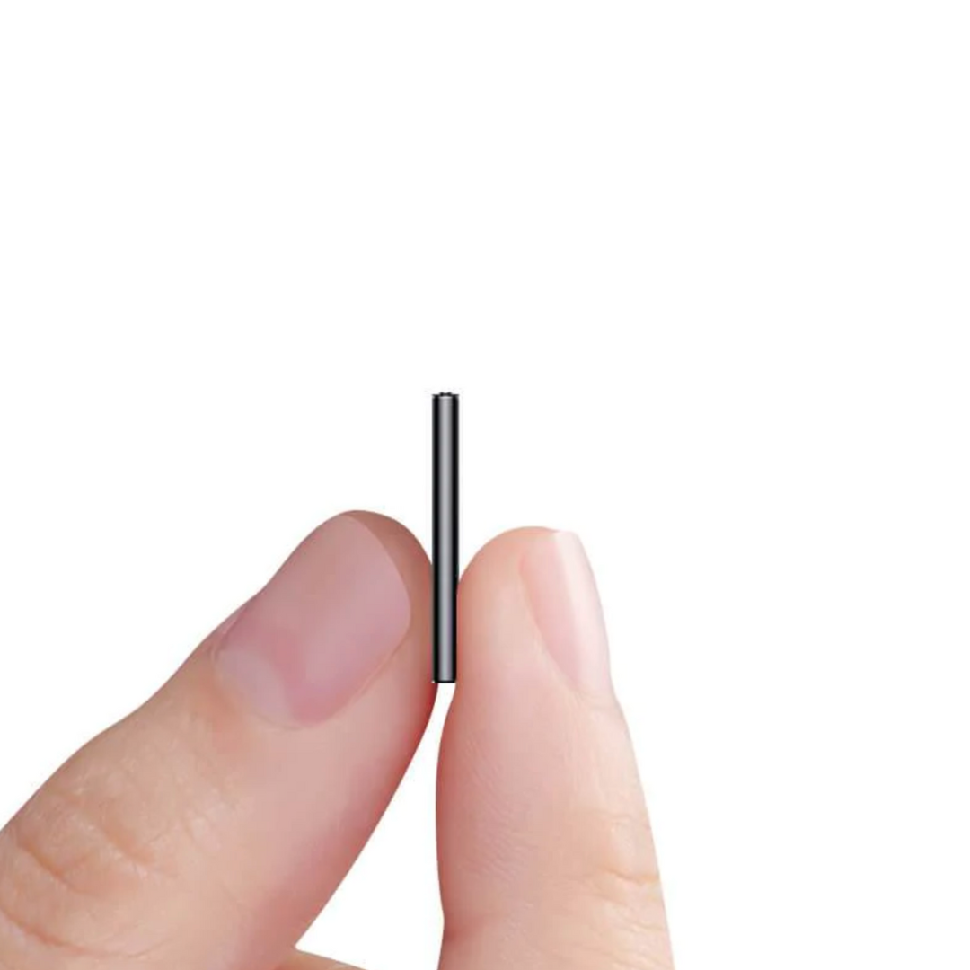 Mini stemmestyret optager
