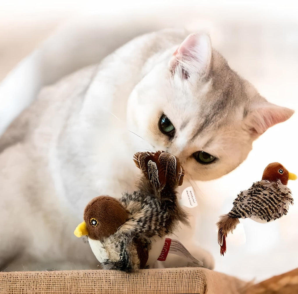 BirdHunting - Lad din kats naturlige jagtinstinkt blomstre!