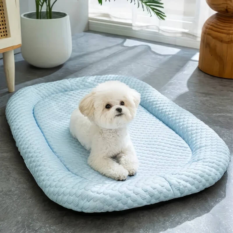 Kølende Hundeseng med Temperaturregulering og Skridsikker til Sommerdage