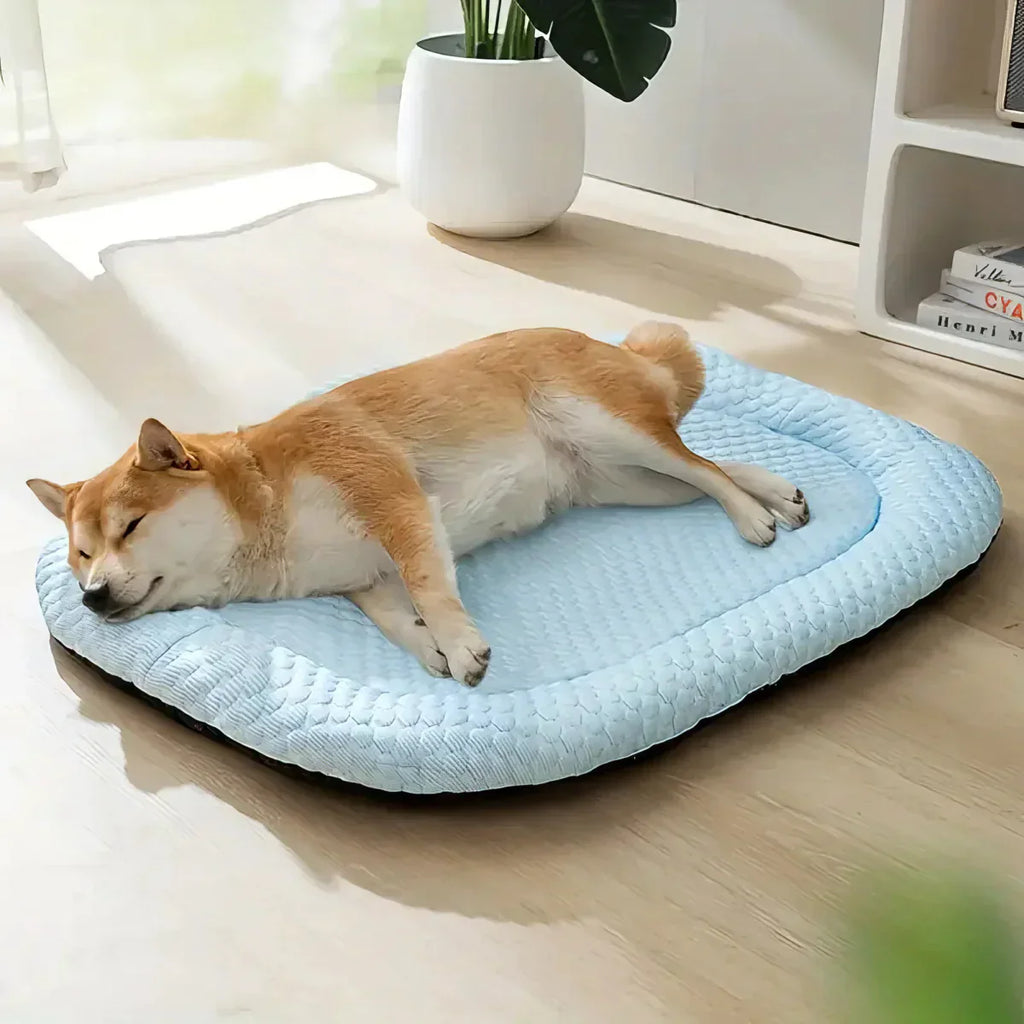 Kølende Hundeseng med Temperaturregulering og Skridsikker til Sommerdage