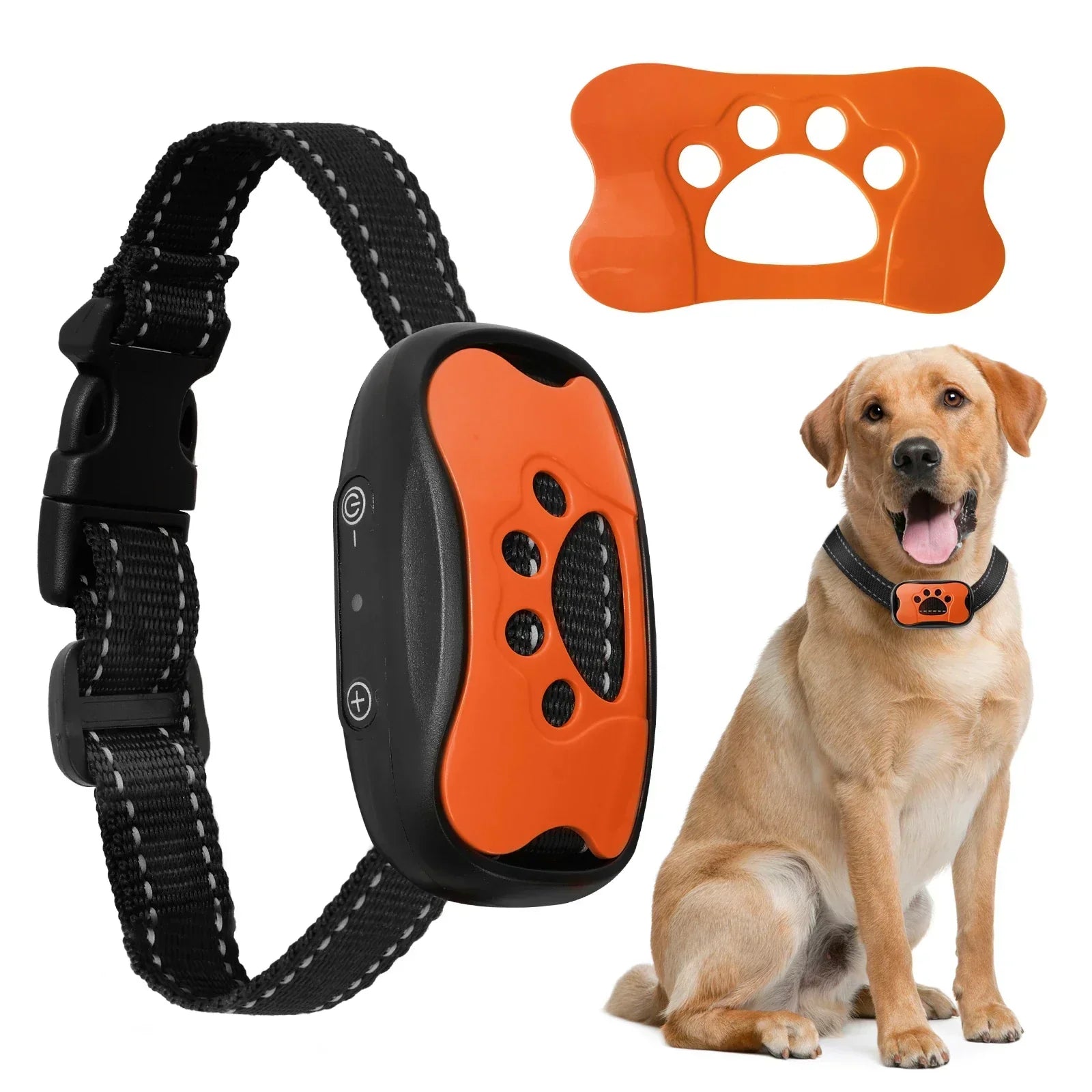 Hund Anti-Bark Krave med Justerbare Intensitetsniveauer