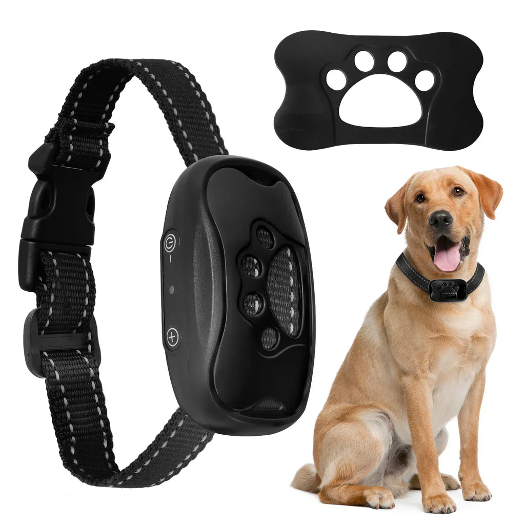 Hund Anti-Bark Krave med Justerbare Intensitetsniveauer