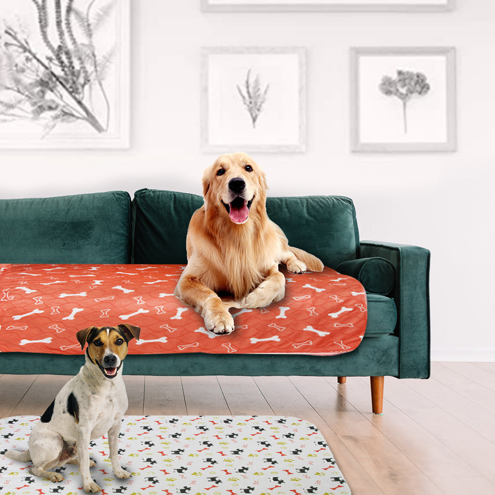 Holdbar Pipi Pad til Hunde - Absorberende & Øko-venlig