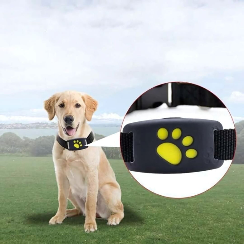 FindMyDog GPS Tracker – Realtids Tracking med Sikkerhedszone Alarmer & 300-timers Batteri