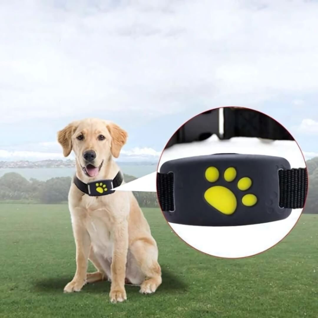 FindMyDog GPS Tracker – Realtids Tracking med Sikkerhedszone Alarmer & 300-timers Batteri