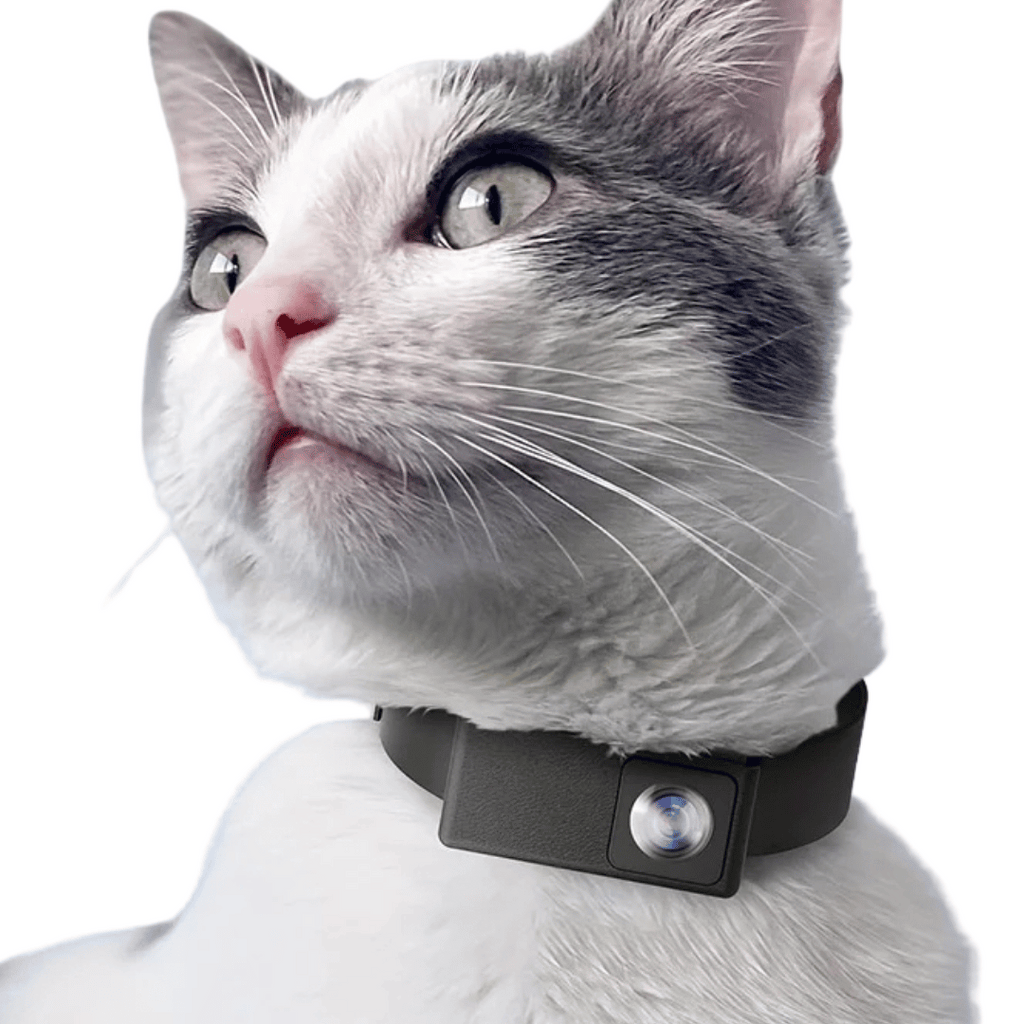 HD Pet Collar Kamera med 160° Linse til Hunde & Katte