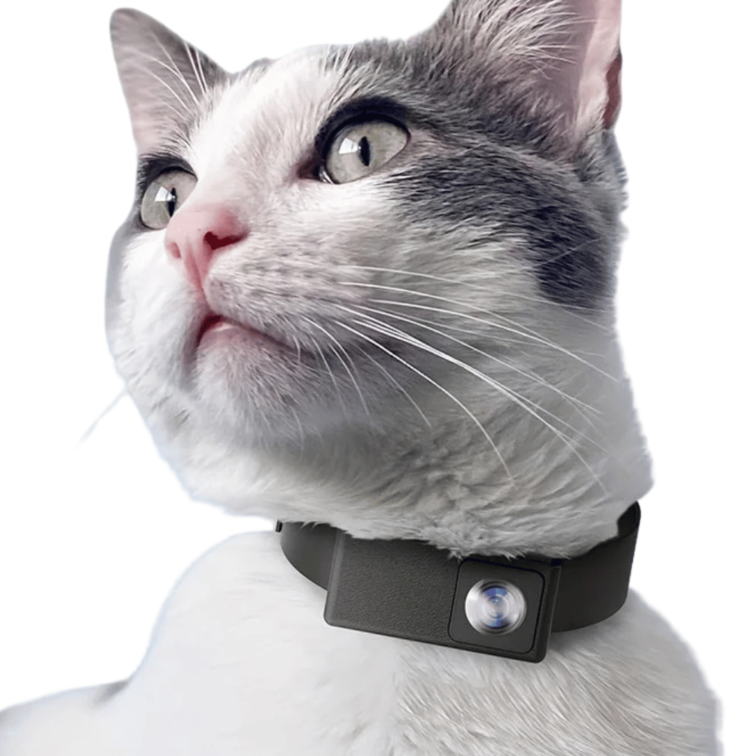 HD Pet Collar Kamera med 160° Linse til Hunde & Katte