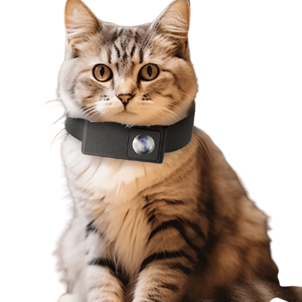 HD Pet Collar Kamera med 160° Linse til Hunde & Katte