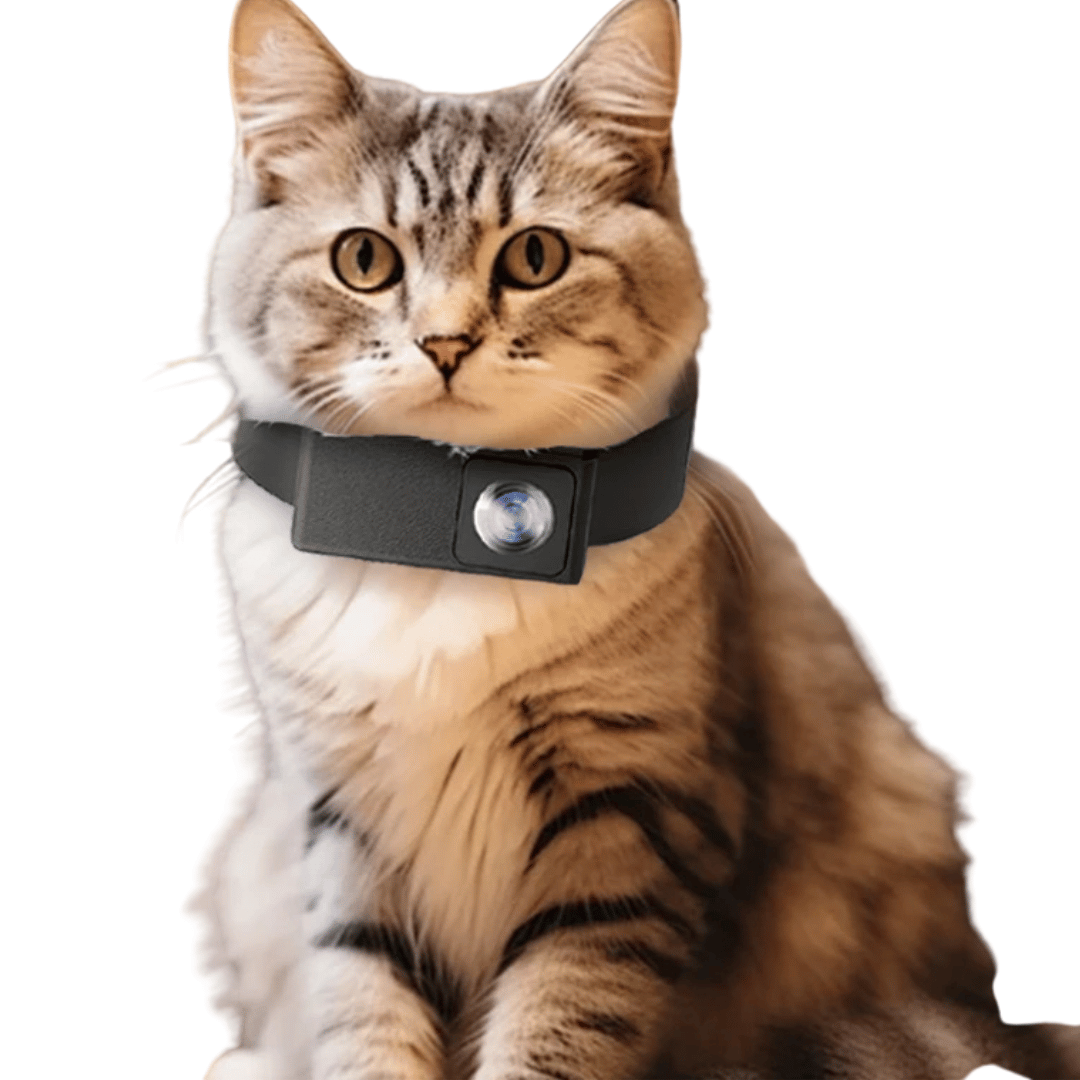 HD Pet Collar Kamera med 160° Linse til Hunde & Katte