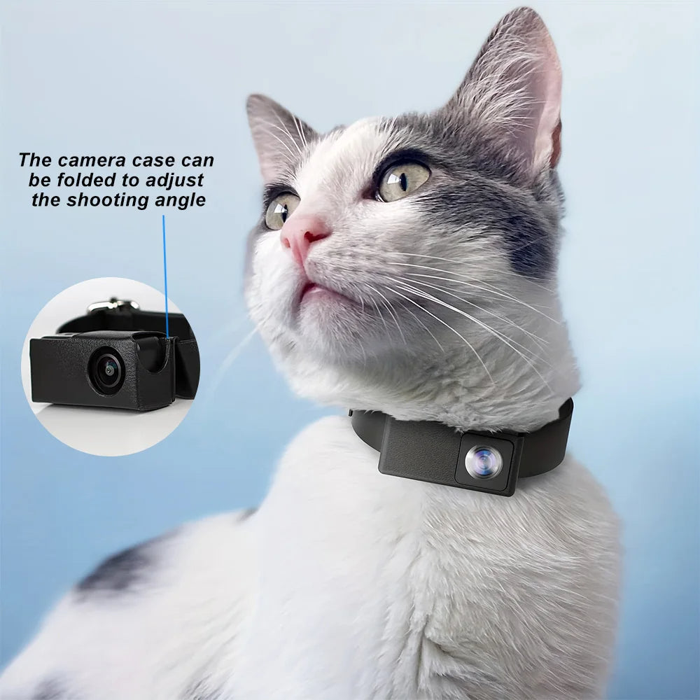 HD Pet Collar Kamera med 160° Linse til Hunde & Katte