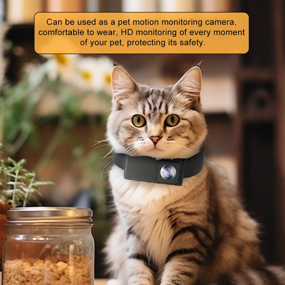 HD Pet Collar Kamera med 160° Linse til Hunde & Katte