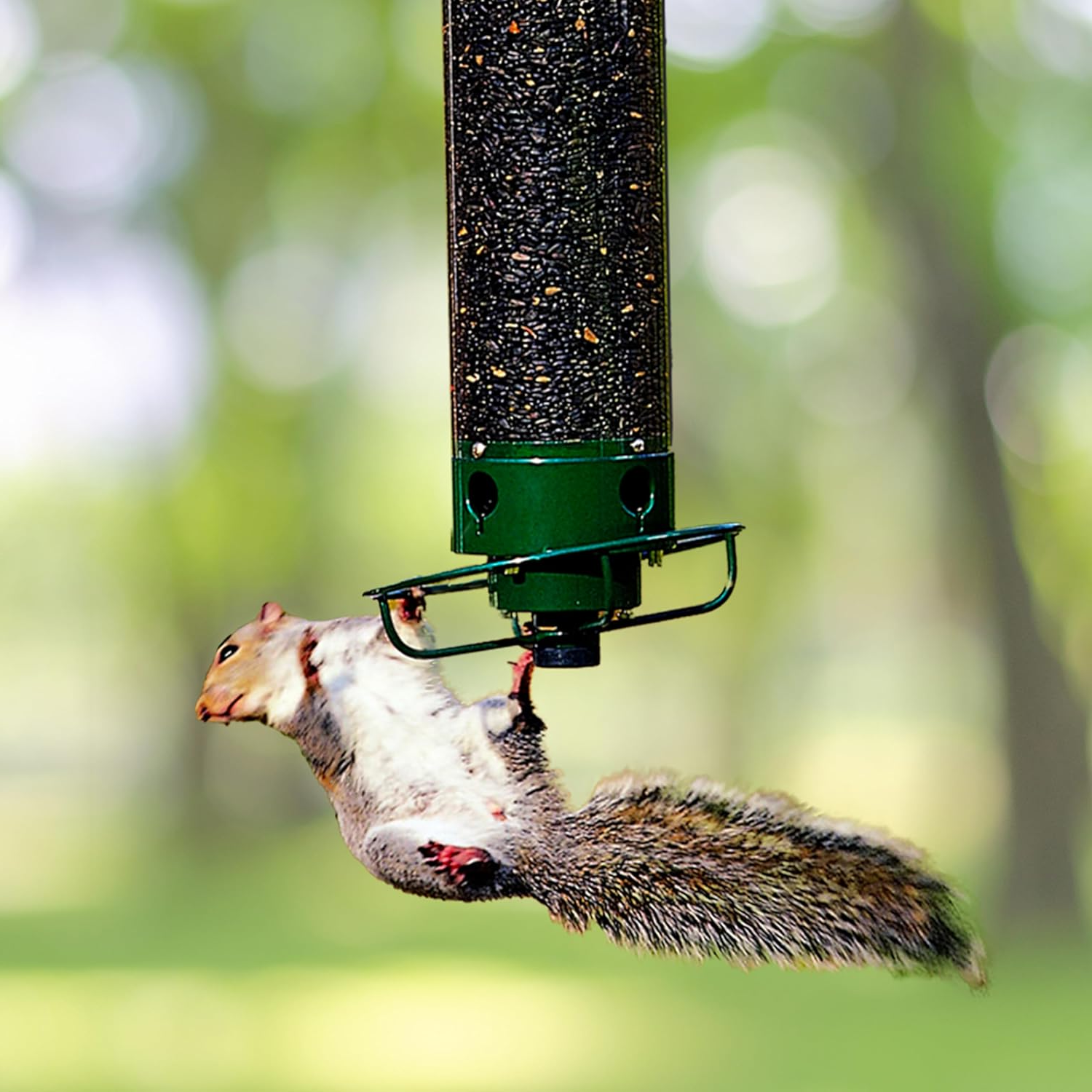 Heavy-Duty Egernfri Fuglefoder - Metal Design
