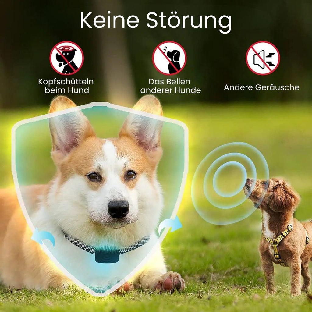 Hundebellhalsband | Anti Bell Halsband til Hunde | BellFrei