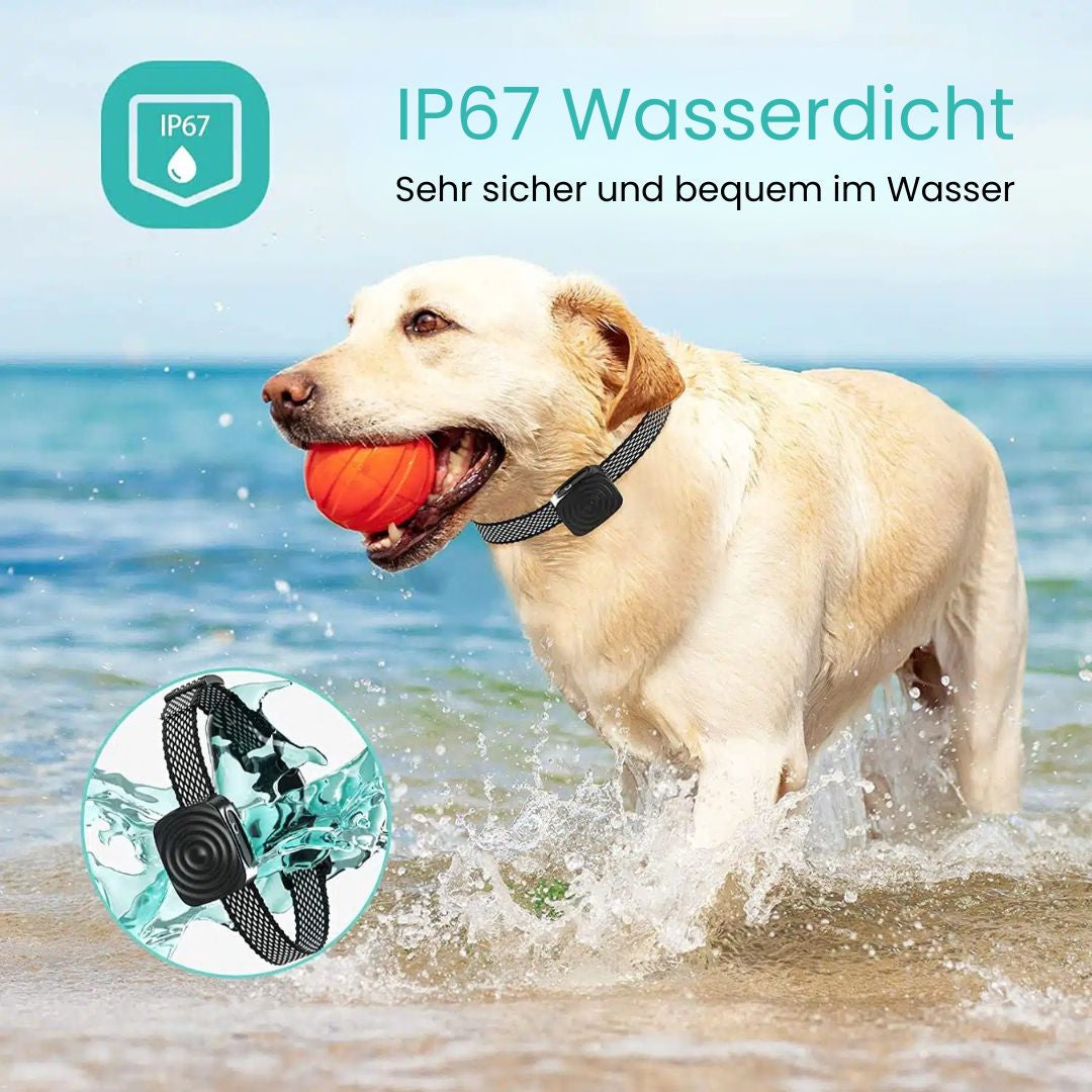 Hundebellhalsband | Anti Bell Halsband til Hunde | BellFrei