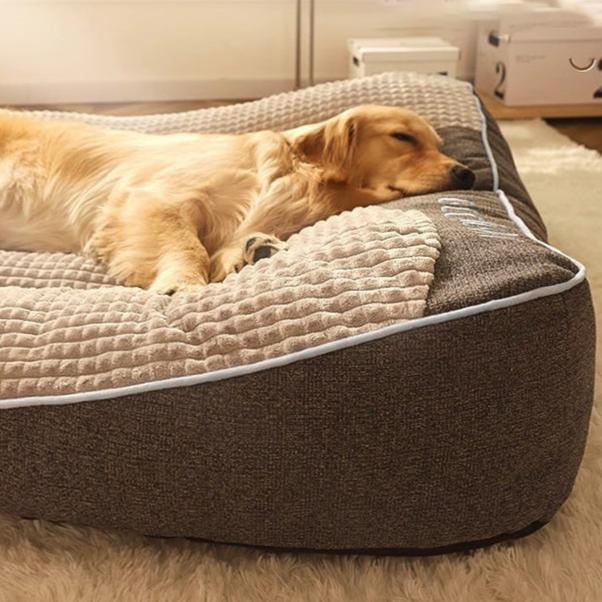 Stor & Tykk Orthopædisk Hundeseng til Store Hunde