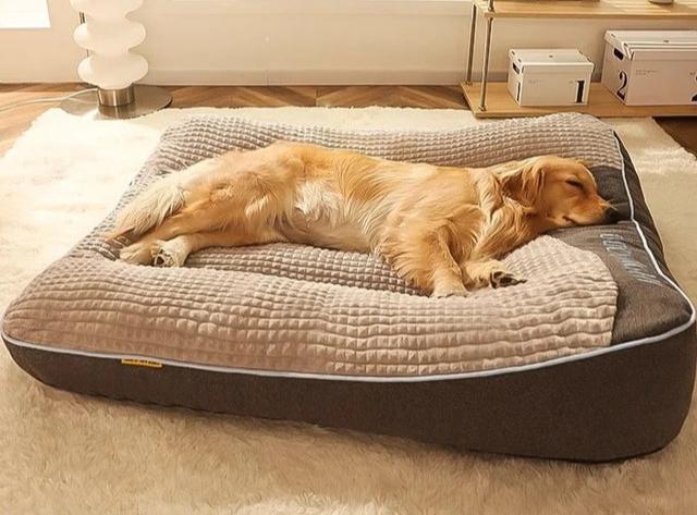 Stor & Tykk Orthopædisk Hundeseng til Store Hunde
