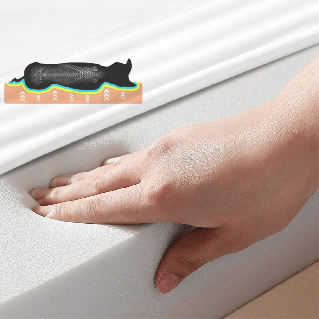 Ortopædisk Memory Foam Hundeseng til Store Racer