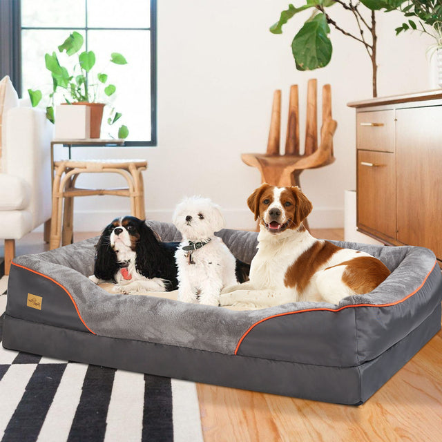 Ortopædisk Memory Foam Hundeseng til Store Racer