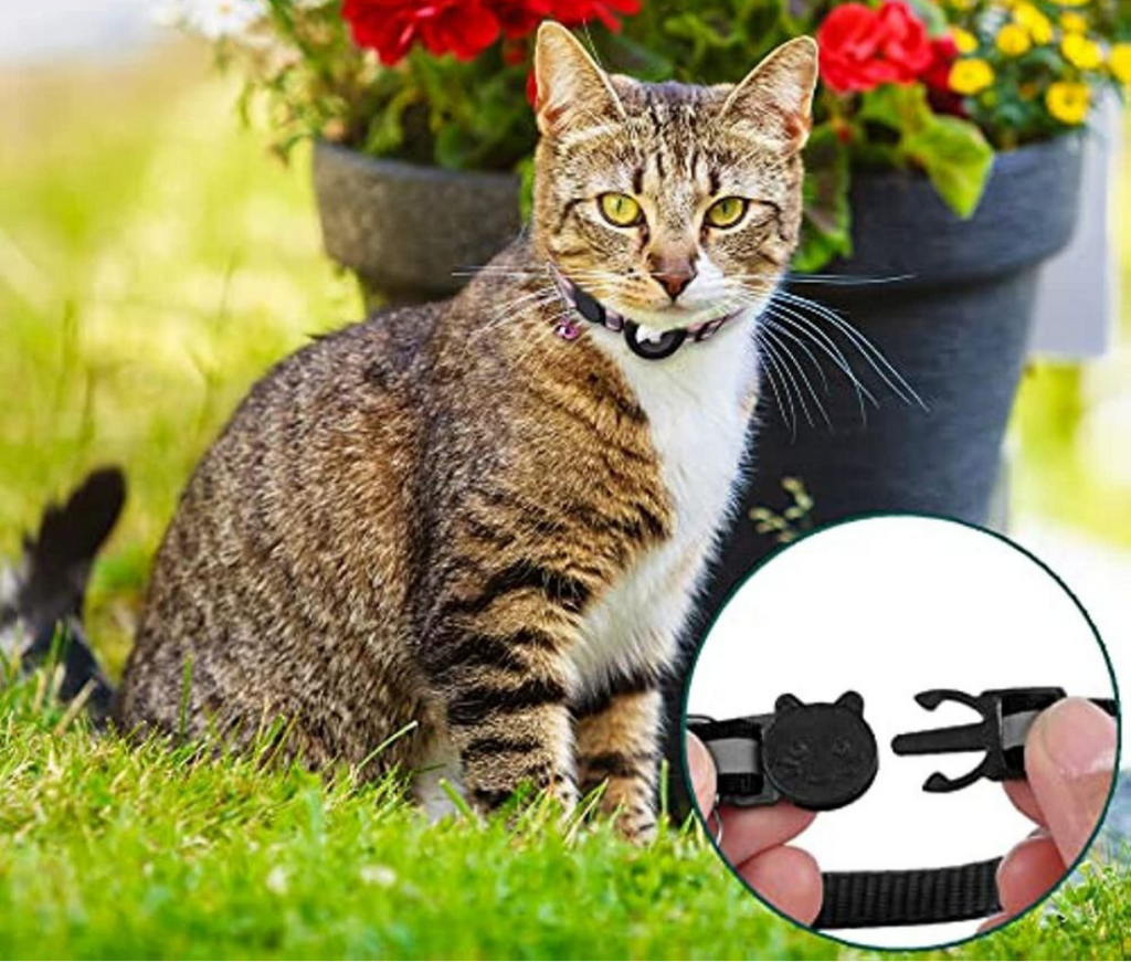 Kat GPS Tracker Halsbånd - Hurtig Udløsning & Reflekterende Design