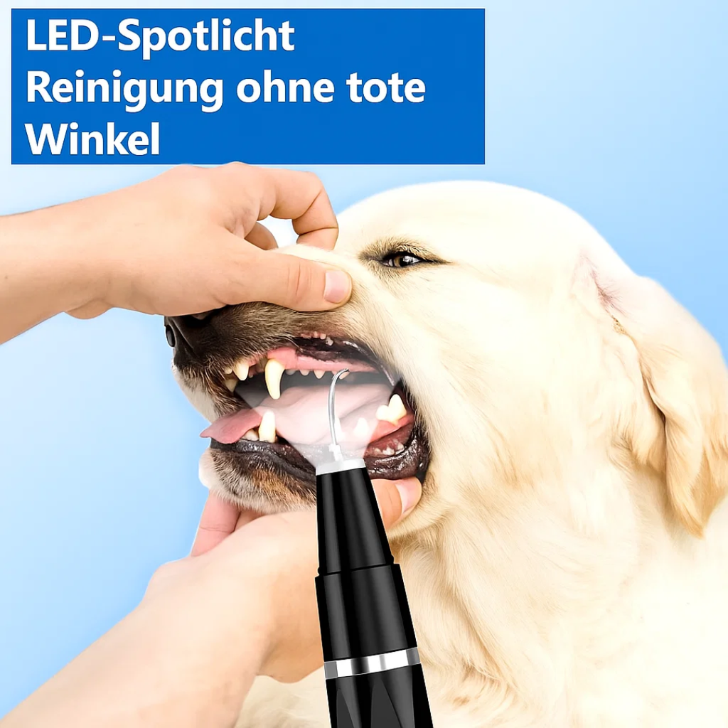 Fjern tandsten hos hunde & katte | Husdyr tandpleje | Tandrenser | PlaqueFri