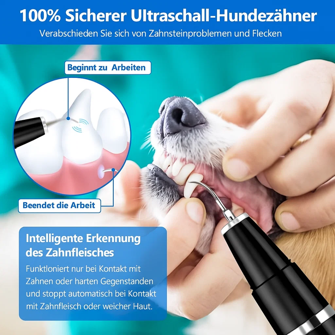 Fjern tandsten hos hunde & katte | Husdyr tandpleje | Tandrenser | PlaqueFri